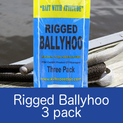 Package of rigged ballyhoo natural bait