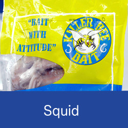 Package of squid natural bait