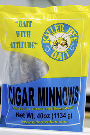 Cigar minnows live bait sold by Killer Bee Bait