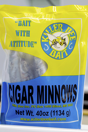 Cigar minnows live bait sold by Killer Bee Bait