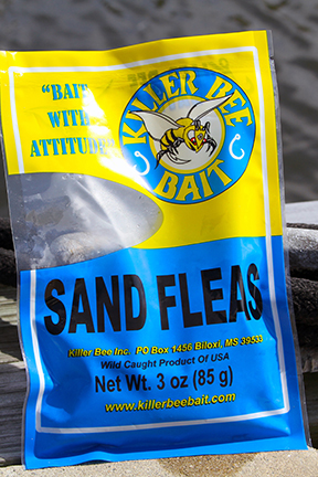 Sand fleas live bait sold by Killer Bee Bait