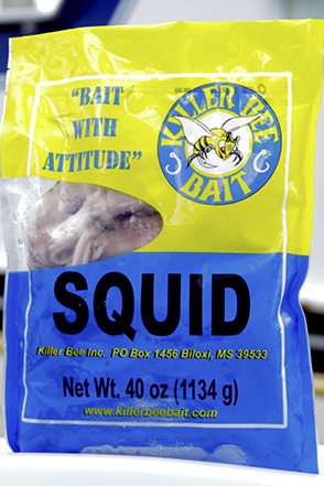 Squid live bait sold by Killer Bee Bait