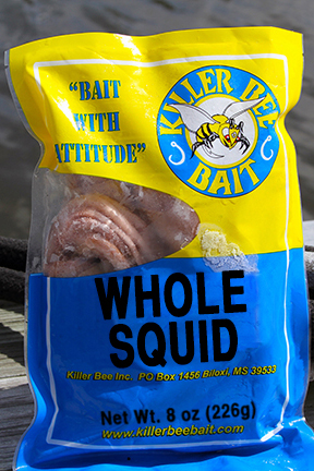 Whole squid live bait sold by Killer Bee Bait