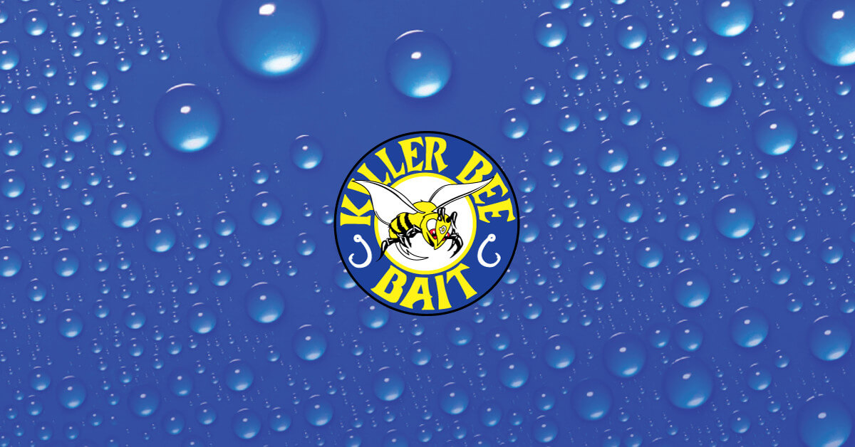 Killer Bee Bait